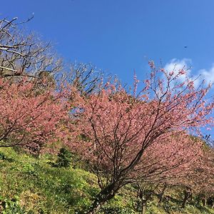 Dogashima Onsen Hotel